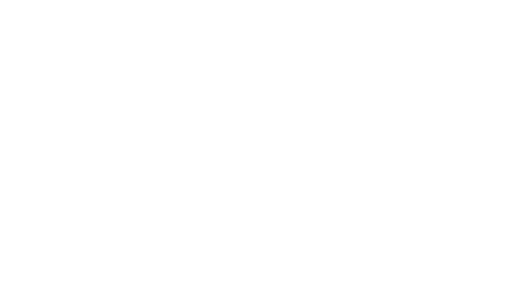 styvero_logo_white